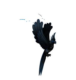 Pirate's Starry Parrot