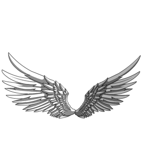 Color-Custom Shield Wings