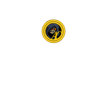 Coin of Nulgath: 300 (EXTRA Rare)