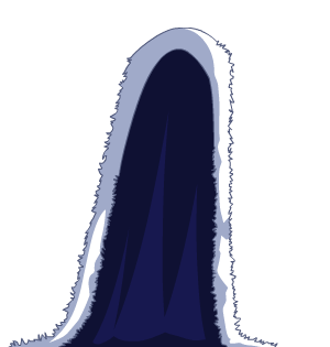 Tyrant's King's Coat