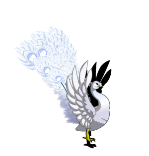 White Peacock