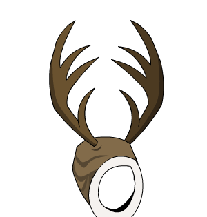 Reigndeer Antlers 13