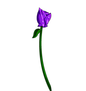 Purple Rose