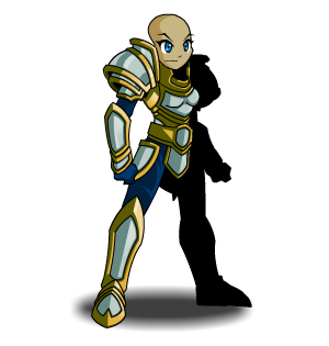 Paladin of Resolution 14 male