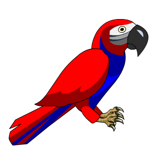 Red Parrot