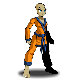 Orange Karategi male