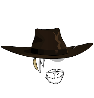 Western Gunslinger Hat