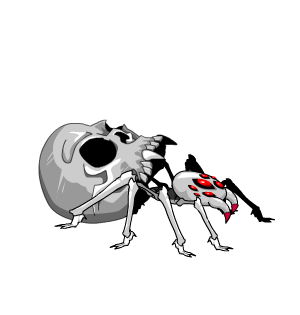 Skull Spider