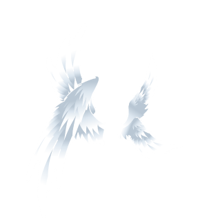Elegant Loredon Wings