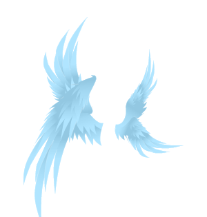 Colorful Elegant Loredon Wings