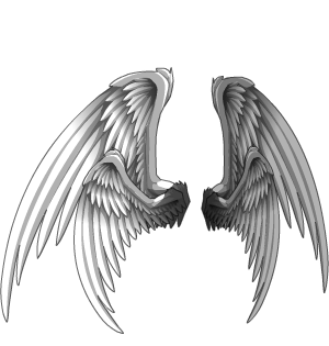 Prismatic Double Wings