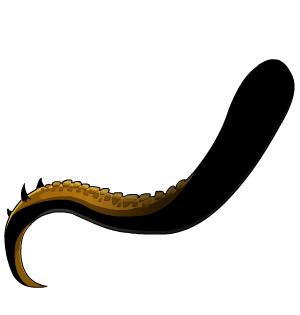 Dragon Knight Tail Morph