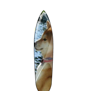 Doge Surfboard #3