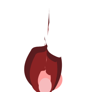 Amaranth Burning Flame