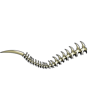 Unfluffy Trophy Tail