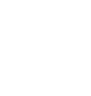 Arcane Dark Lord Spirit Book