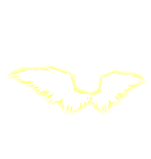 Wings Of Light