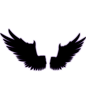 Chaotic Raven Wings of Erebus