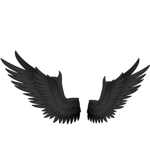 Wings of the Fallen