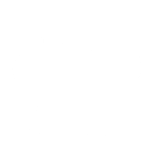 Diozz's Transforming Drone