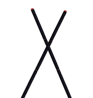 Force Guardian Back Staves