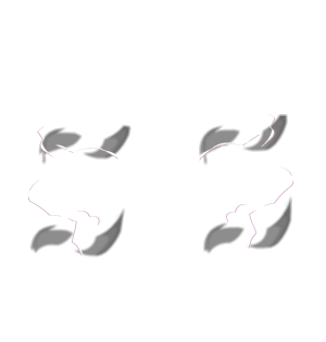 Evolved Cape of Shady