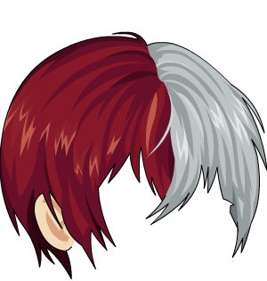Todoroki Hair