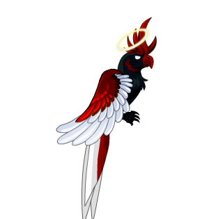 Duality Captain's Parrot Cape