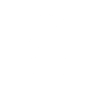 Silent Mirror Chaos Spirit