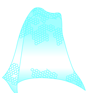 Dark Matter DragonSlayer Cape