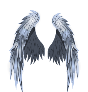 Celestial Commander's Wings