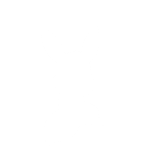 <b><font color='#F85EAC'>Yassi's </font><font color='#C85A17'>Eevee Pet</font></b>