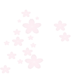 Shimmering Sakura Blossoms