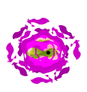 Eye of the Beholder