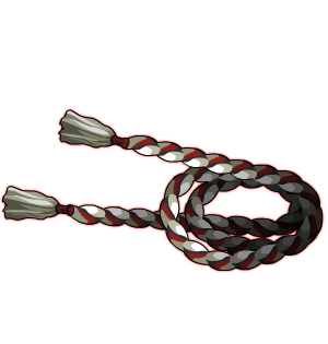 Warok's Binding Cords