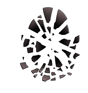 Shattered Reflection