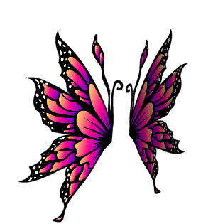 Sunrise Heliconius Wings