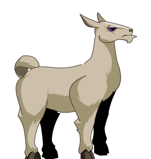 Llama Kin